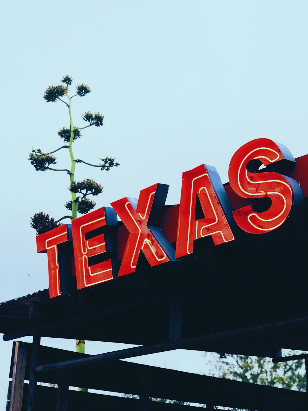 texas-640x480-87192582.jpeg