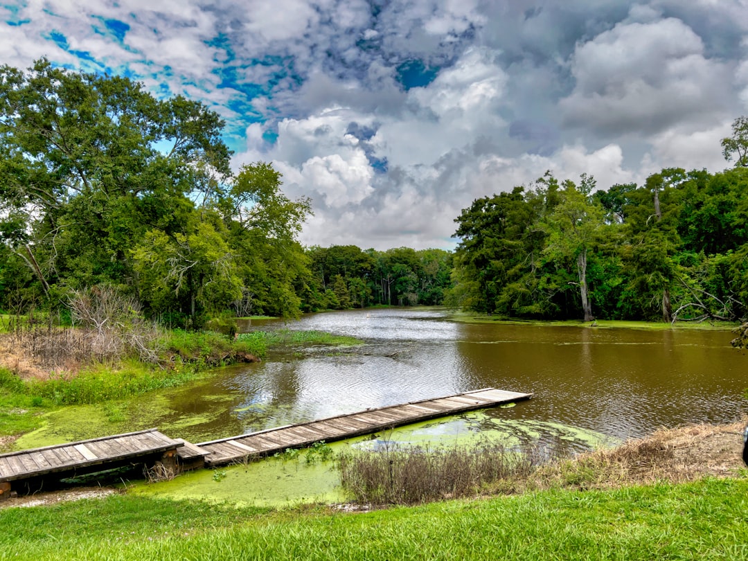 Protecting Businesses From Spam Lawsuits in Louisiana