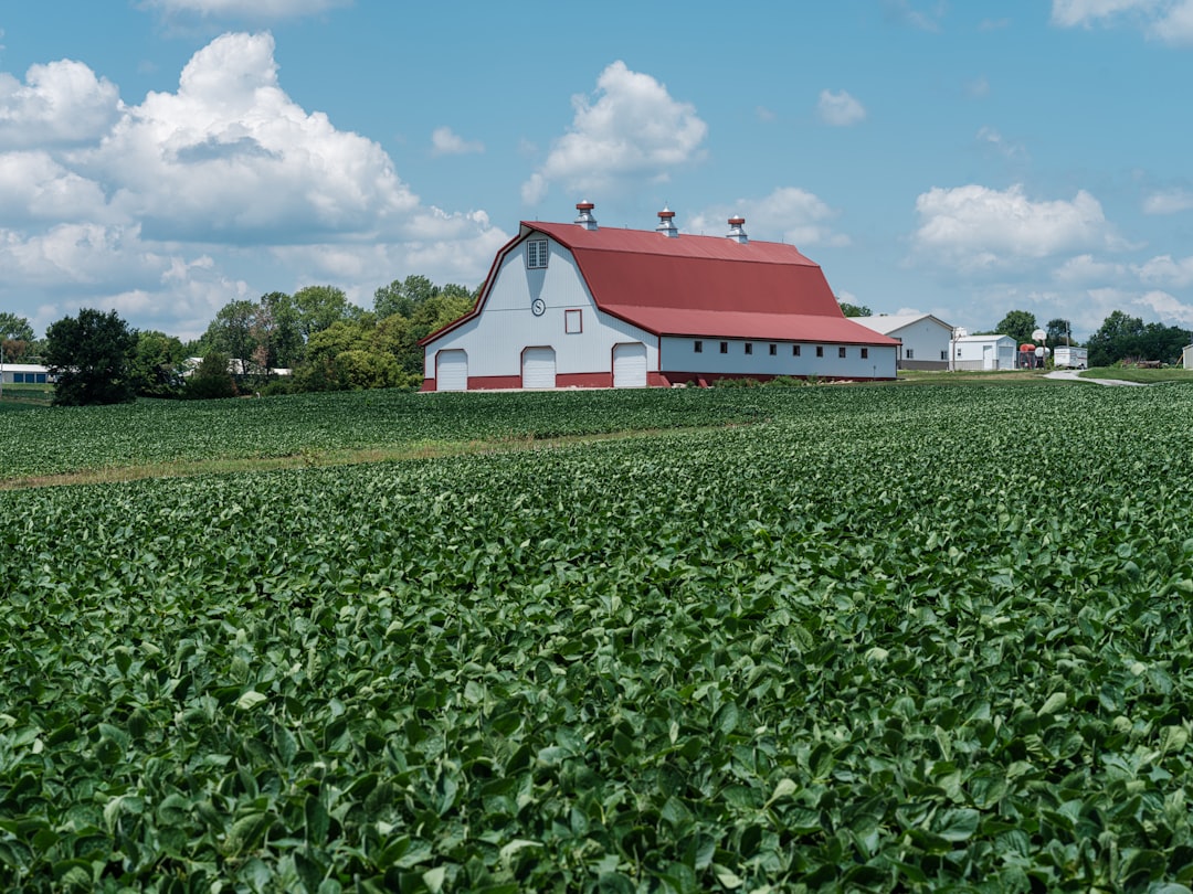 Ethical Sting Operations: Balancing Law and Consumer Rights in Missouri