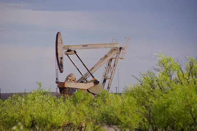 New Mexico