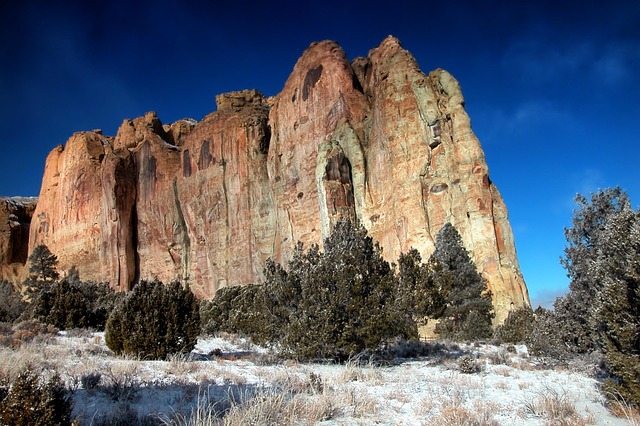 New Mexico