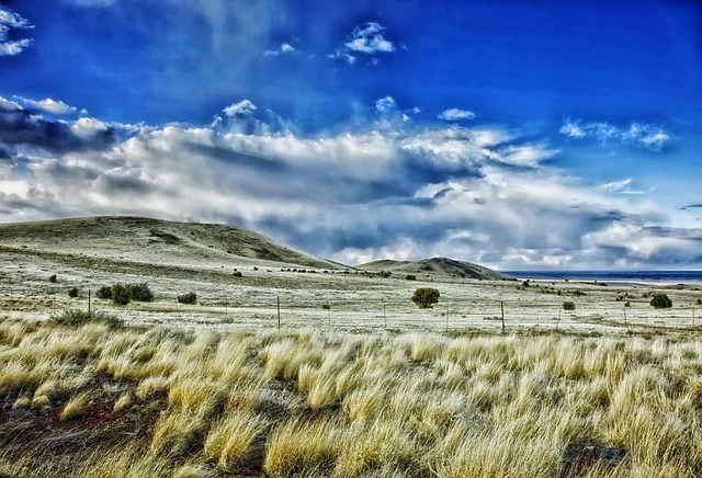 New Mexico