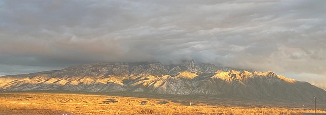 New Mexico