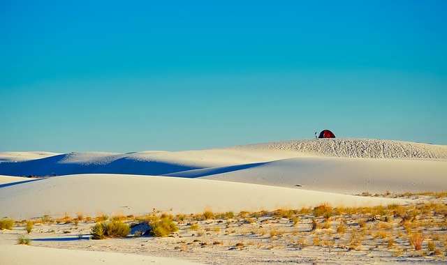New Mexico