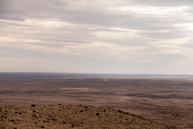New Mexico