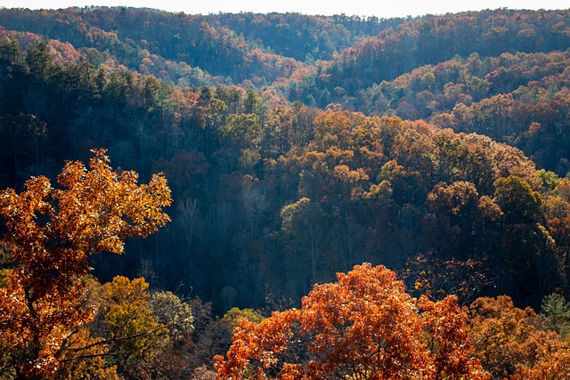 North Carolina