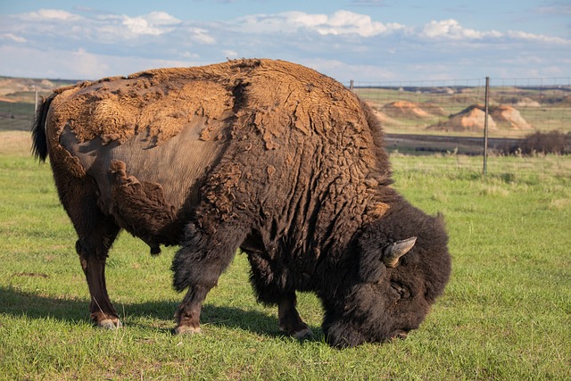 North Dakota