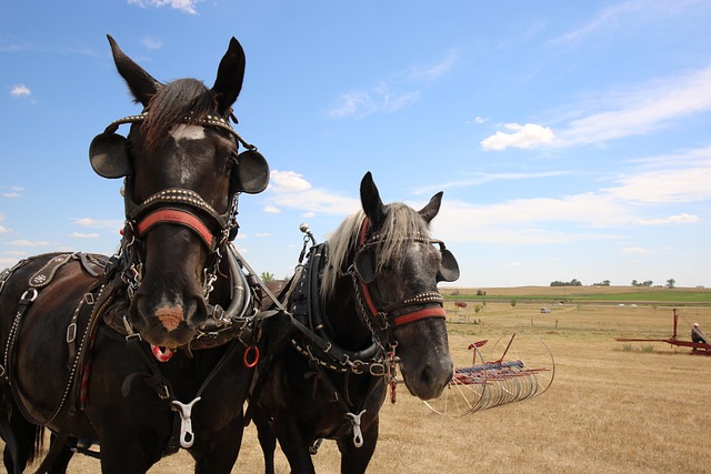 North Dakota