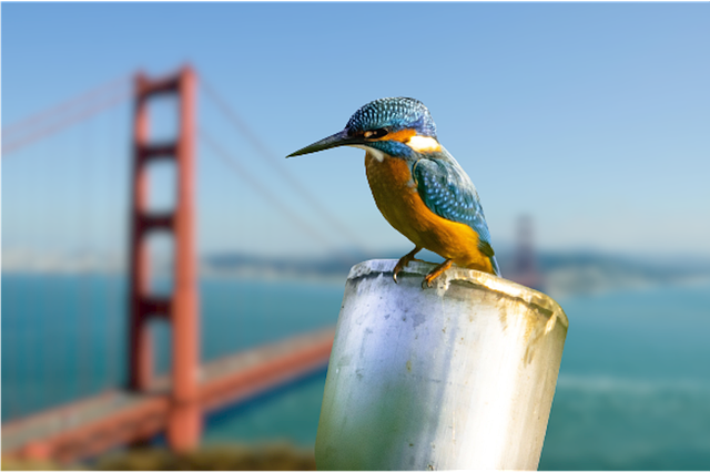 Stop Spam Calls LA: Legal Actions & Community Tools