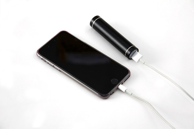 phone,cellphone,smartphone,lawyer,telemarketer,New Mexico