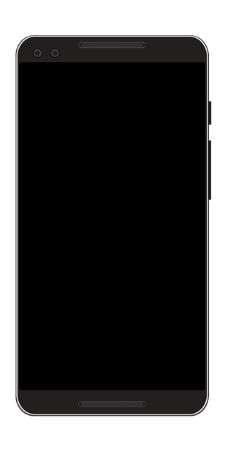 phone,cellphone,smartphone,lawyer,telemarketer,South Carolina