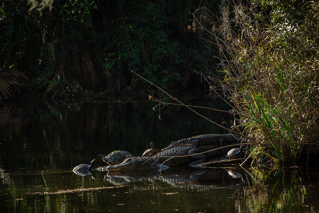 South Carolina
