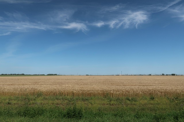 South Dakota
