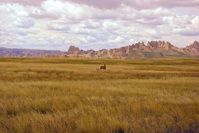 South Dakota