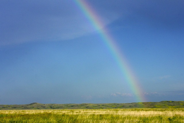 South Dakota