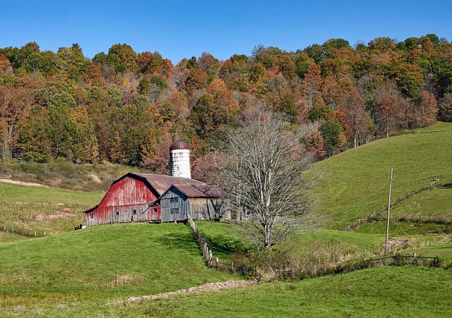 West Virginia