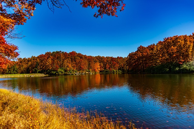 West Virginia