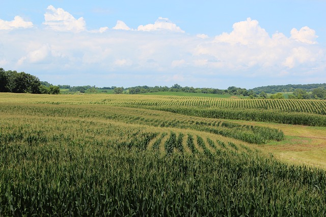 West Virginia