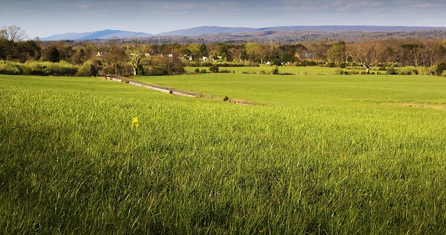 West Virginia