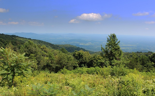 West Virginia