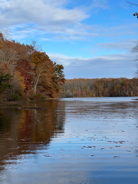 West Virginia