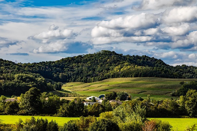 Wisconsin