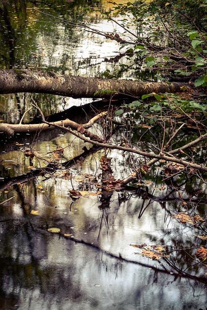 Wisconsin