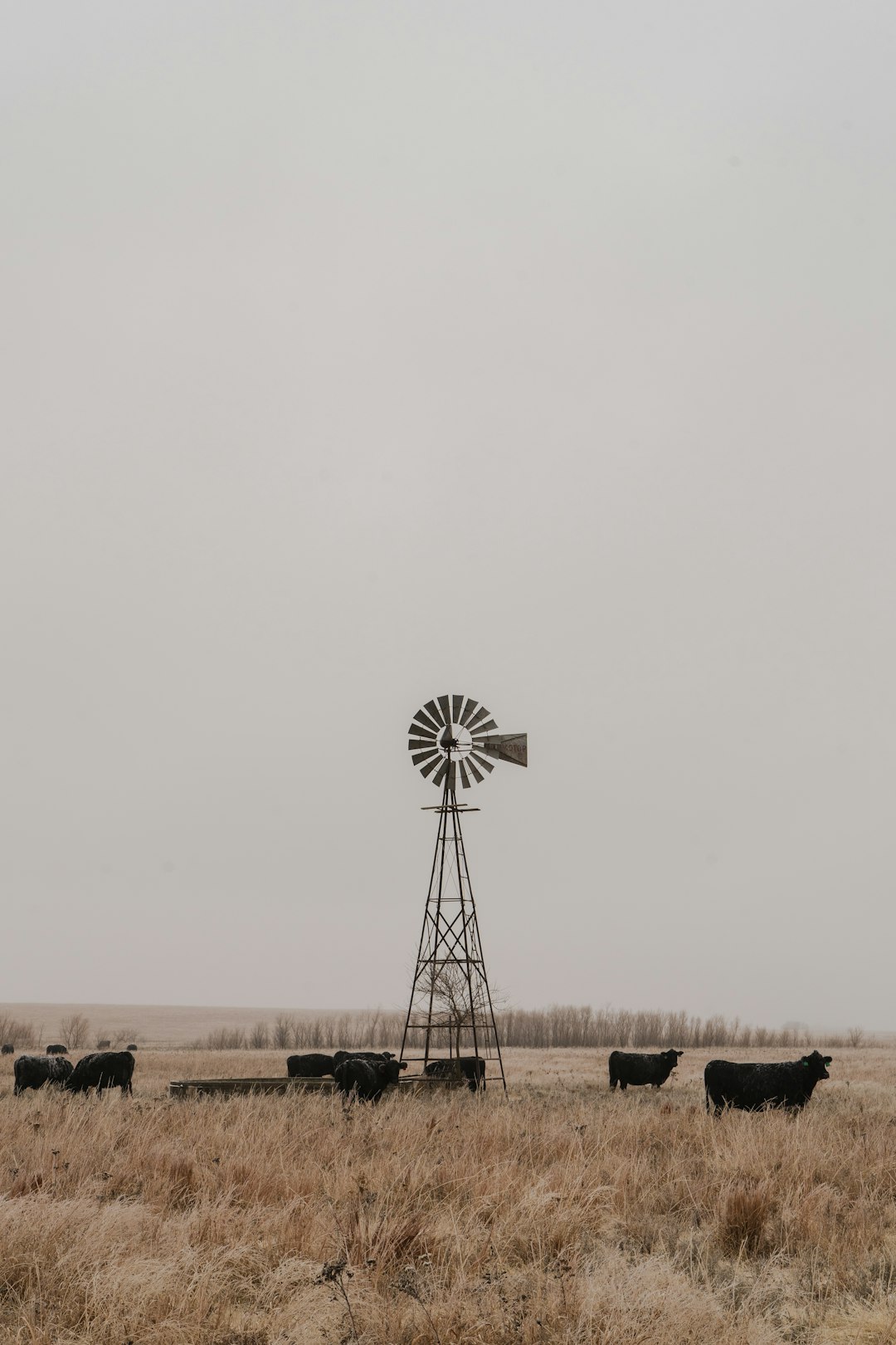 kansas-640x480-52039420.jpeg