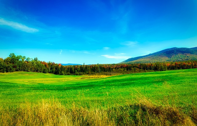 New Hampshire
