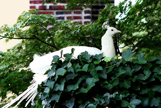 New Jersey
