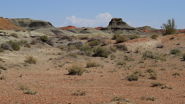New Mexico