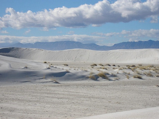 New Mexico