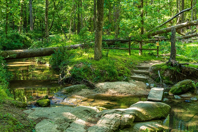 North Carolina
