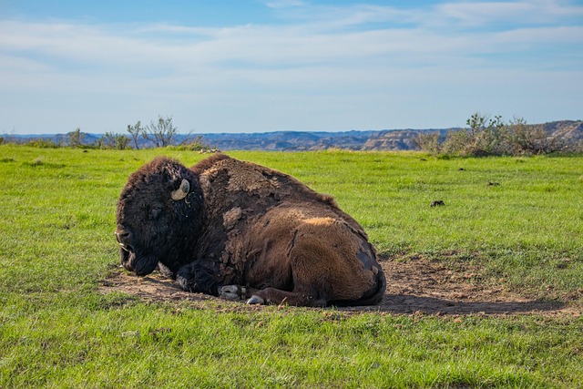 North Dakota