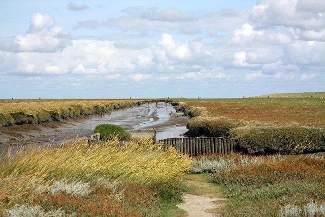 North Dakota