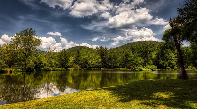 Stop Spam Calls in North Carolina: Proven Strategies