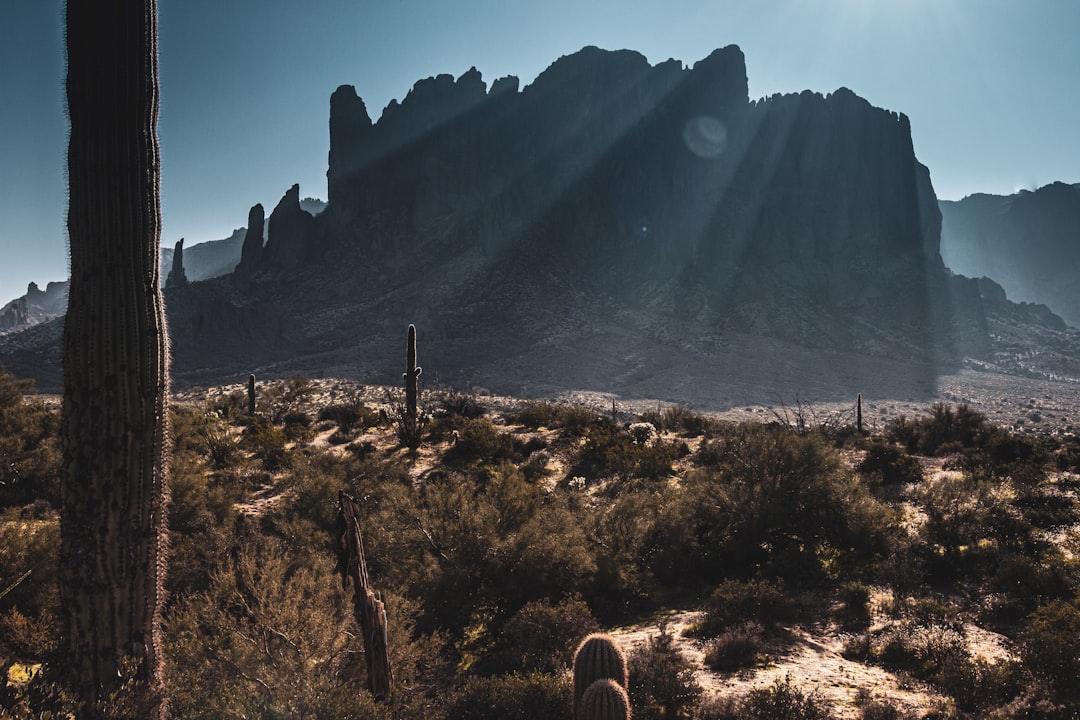 phoenix-640x480-43481355.jpeg