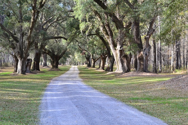 South Carolina