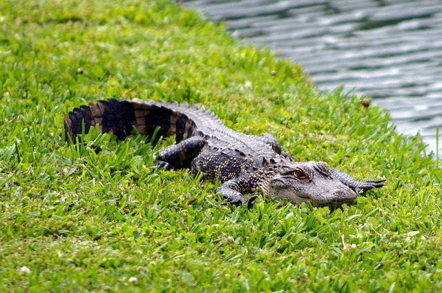 South Carolina