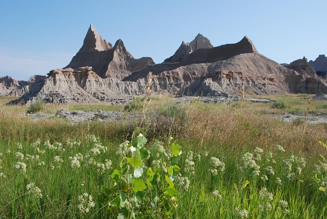 South Dakota