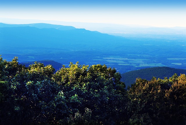 West Virginia