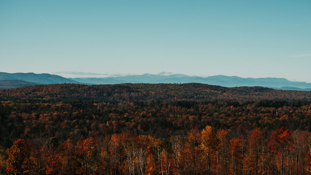 Maine
