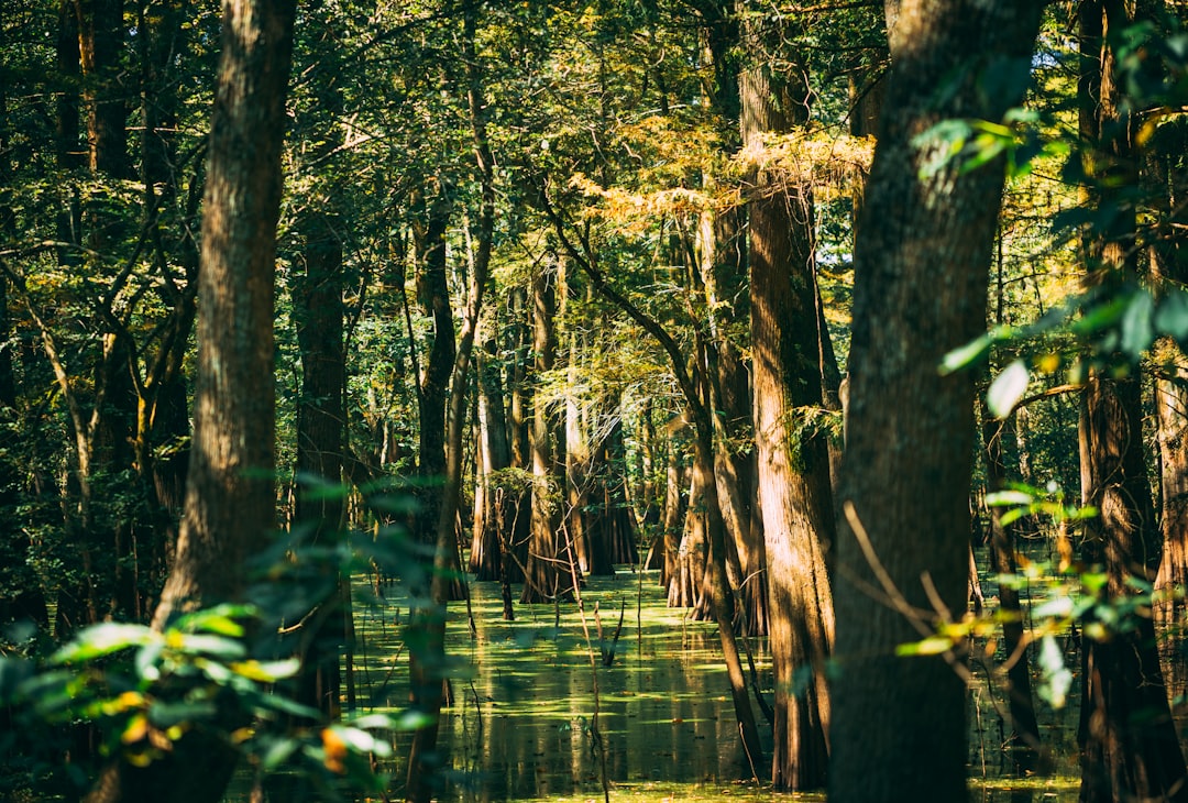 Mississippi