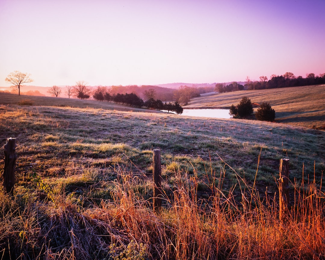 Oak Grove’s Guide: Navigating Auto Dialer Law in Missouri