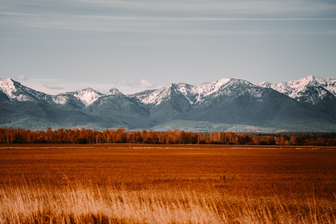 montana-640x480-67810932.jpeg