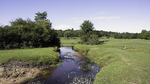New Hampshire