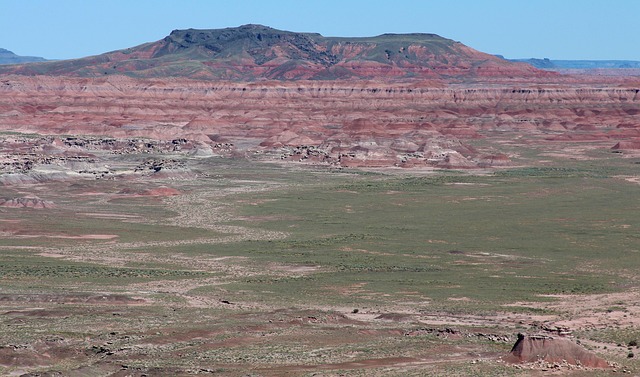 New Mexico