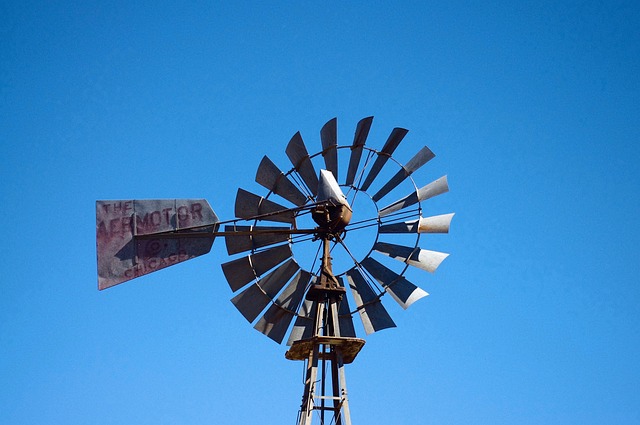 New Mexico