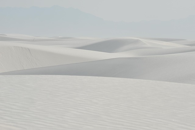 New Mexico