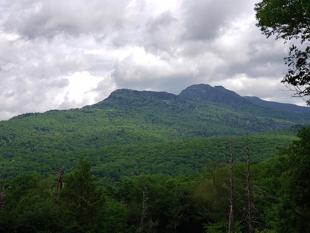 North Carolina